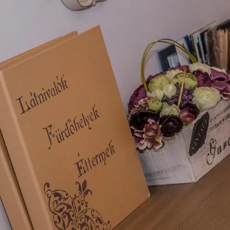 Belvarosi Vintage A Setaloutcan Apartment Miskolc